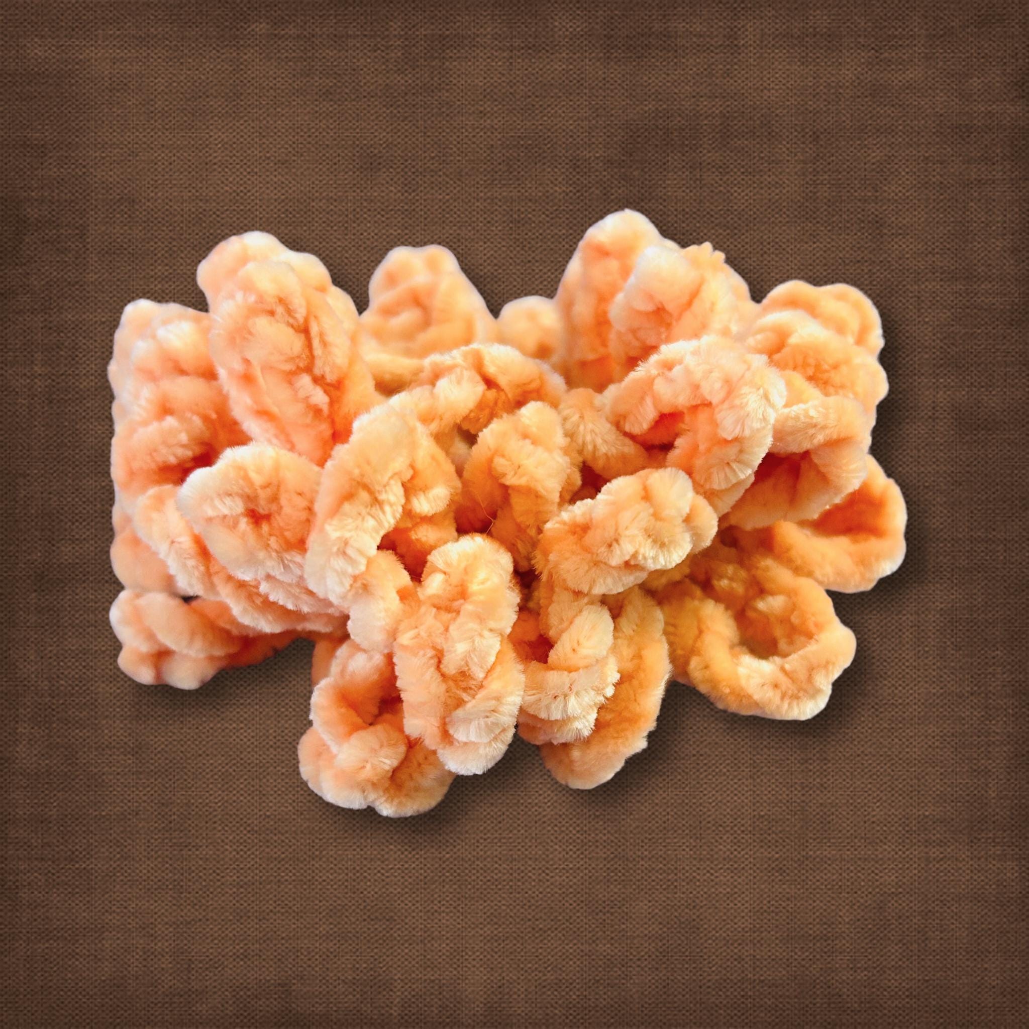 Summer Peach Scrunchie