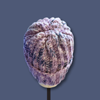 Adult Medium Size Light Lavender Beanie