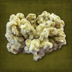 Garden Green Velvet Scrunchie