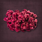 Grape Purple Velvet Scrunchie